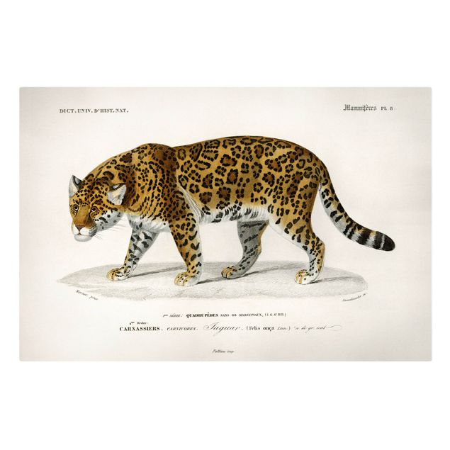 Print on canvas - Vintage Board Jaguar