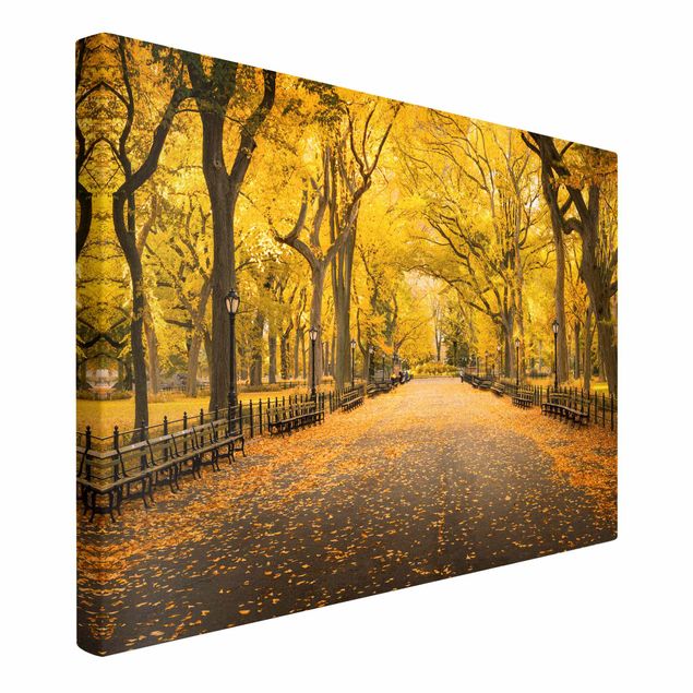 Print on canvas - Autumn In Central Park