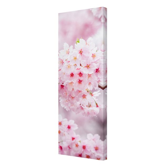 Print on canvas - Japanese Cherry Blossoms