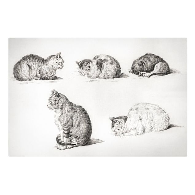 Print on canvas - Vintage Drawing Cat I