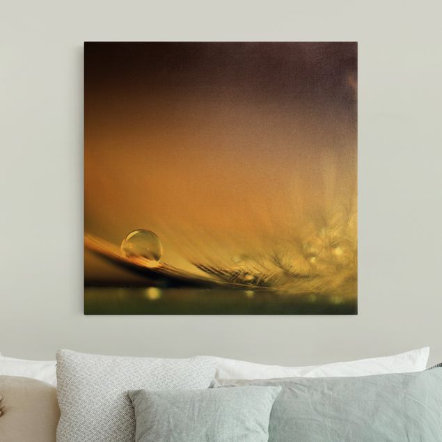 Canvas print gold - Story of a Waterdrop