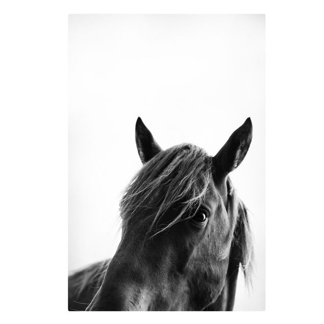 Print on canvas - Curious Horse
