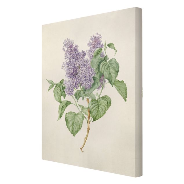 Print on canvas - Maria Geertruyd Barber-Snabilie - Lilac