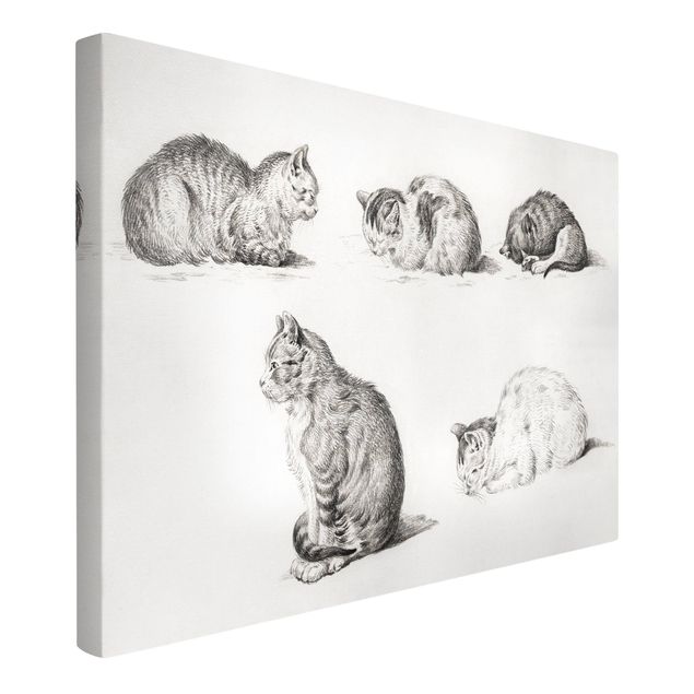 Print on canvas - Vintage Drawing Cat I