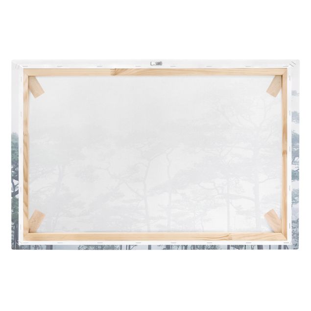Print on canvas - Treetops In Fog