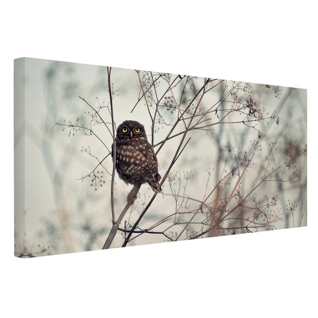 Print on canvas - Owl In The Winter