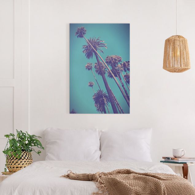Print on canvas - Tropical Plants Palm Trees And Sky