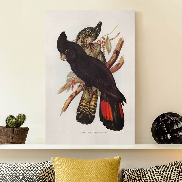 Print on canvas - Vintage Illustration Black Cockatoo Black Gold