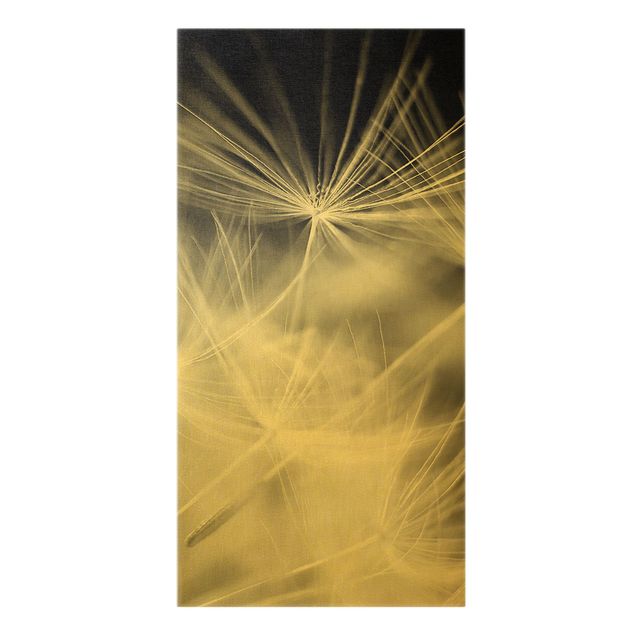 Canvas print gold - Moving Dandelions Close Up On Black Background