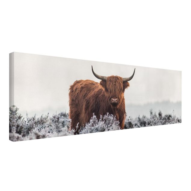 Print on canvas - Bison In The Highlands