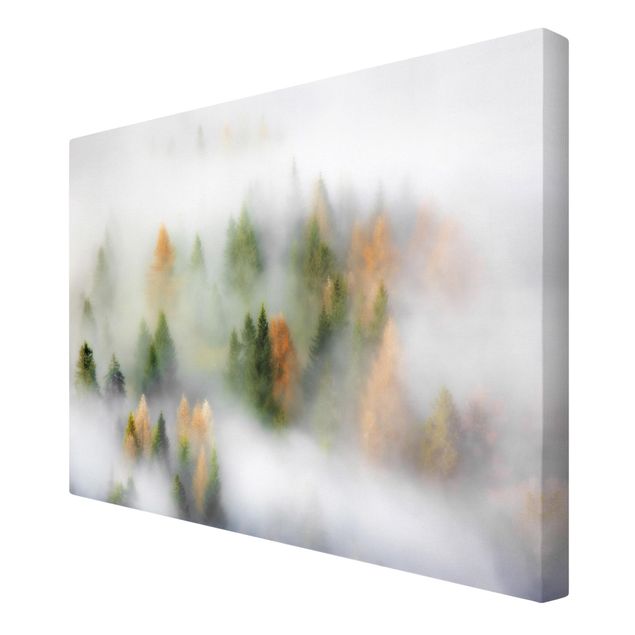 Print on canvas - Cloud Forest In Autumn