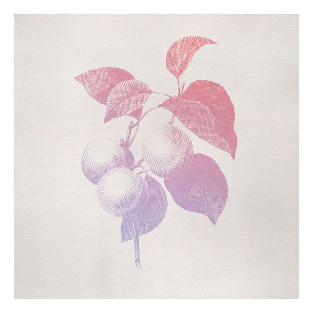 Print on canvas - Modern Vintage Botanik Peach Light Pink Violet