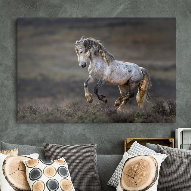 Print on canvas - Galloping Through The Heather