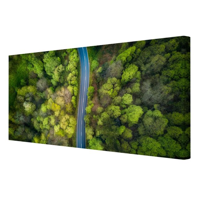 Print on canvas - Aerial View - Asphalt Road In The Forest