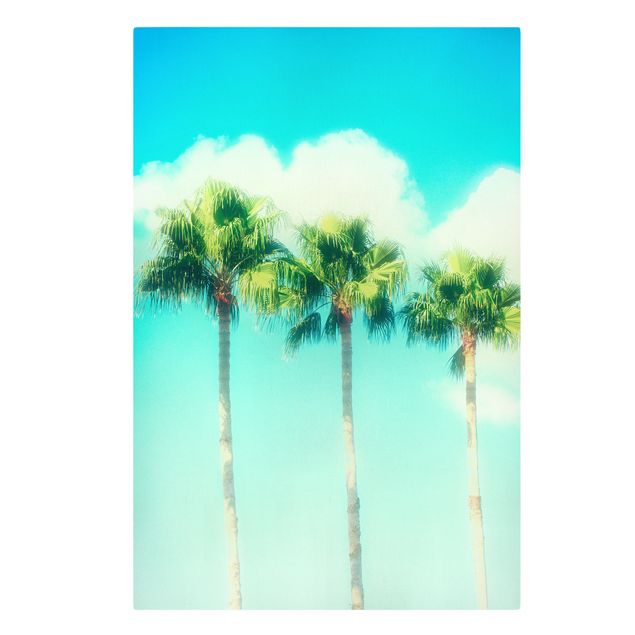 Print on canvas - Palm Trees Against Blue Sky