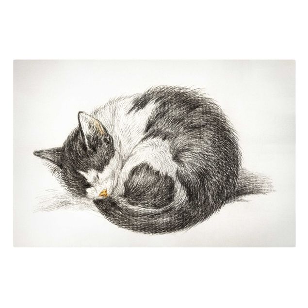 Print on canvas - Vintage Drawing Cat II