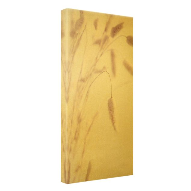 Canvas print gold - Delicate Phalaris