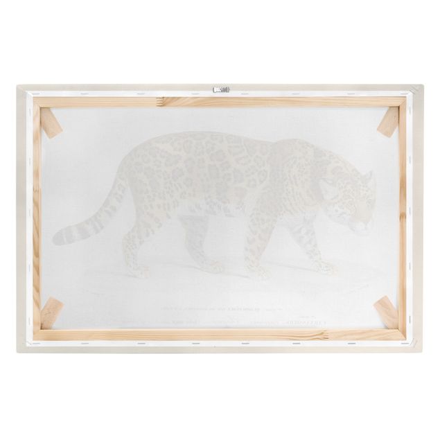 Print on canvas - Vintage Board Jaguar