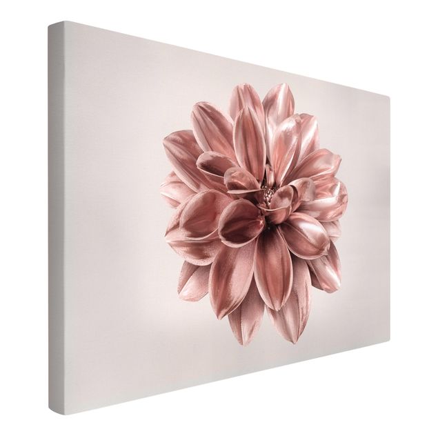 Print on canvas - Dahlia Flower Pink Gold Metallic