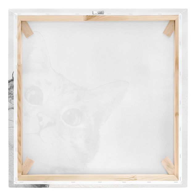 Canvas print - Illustration Cat Drawing Black And White