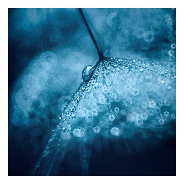 Print on canvas - Blue Dandelion In The Rain