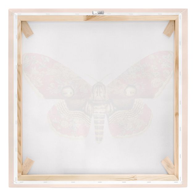 Print on canvas - Vintage Moth
