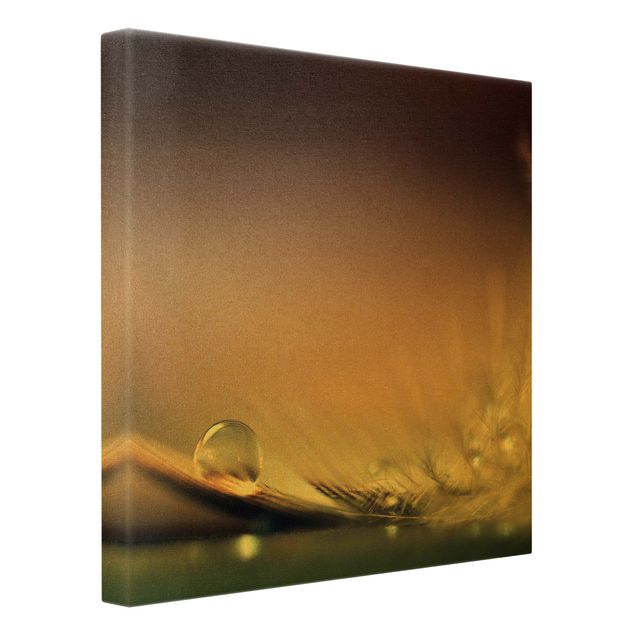 Canvas print gold - Story of a Waterdrop
