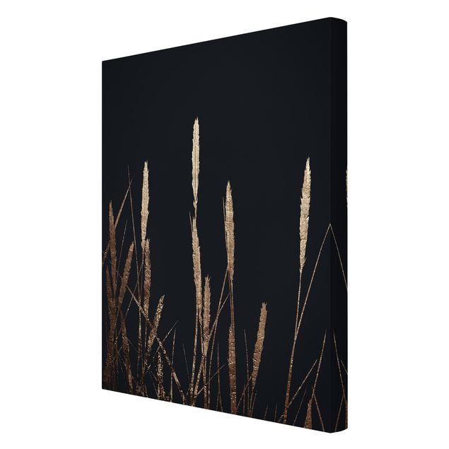 Print on canvas - Graphical Plant World - Golden Reed