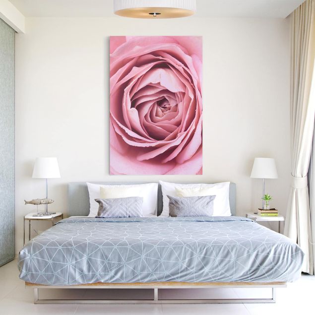 Canvas print - Pink Rose Blossom