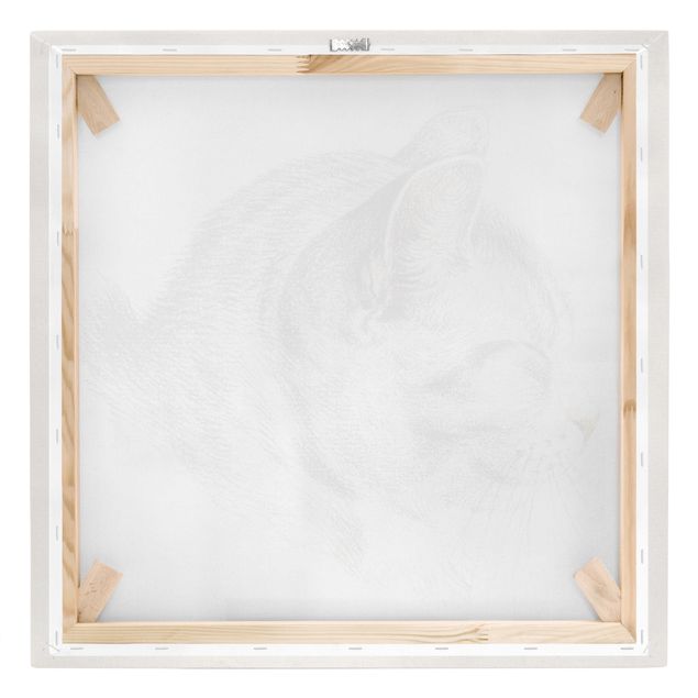 Print on canvas - Vintage Drawing Cat III