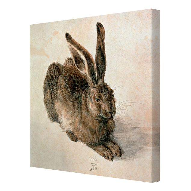 Canvas print - Albrecht Dürer - Young Hare