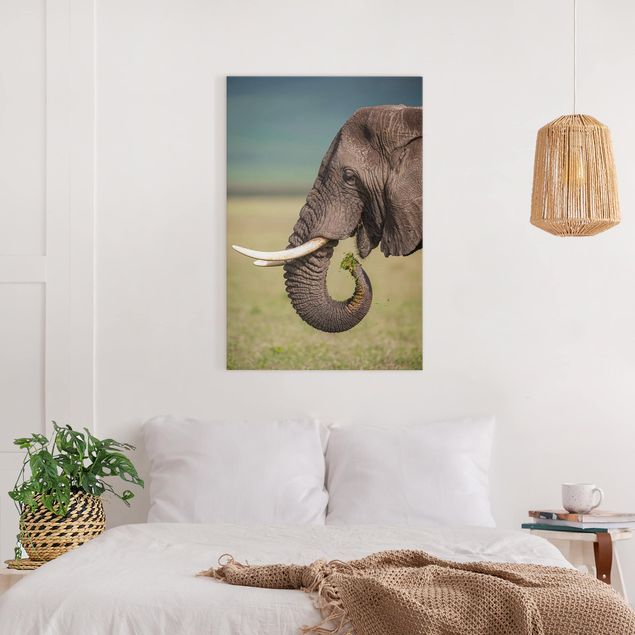 Print on canvas - Feeding Elephants In Africa