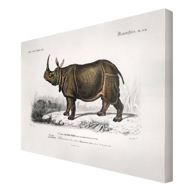 Print on canvas - Vintage Board Rhino