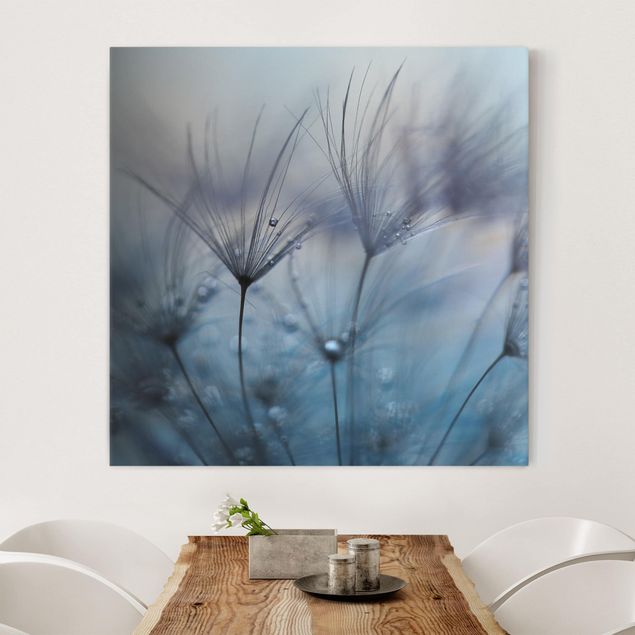 Print on canvas - Blue Feathers In The Rain