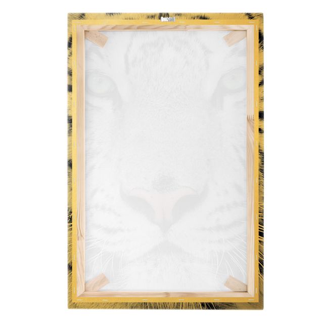 Canvas print gold - White Tiger