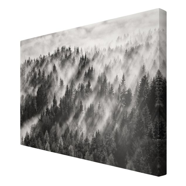 Print on canvas - Light Rays In The Coniferous Forest
