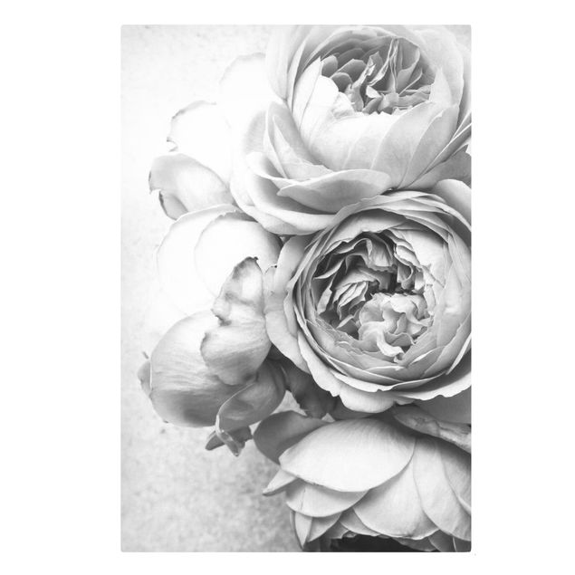 Canvas print - Peony Flowers Black White