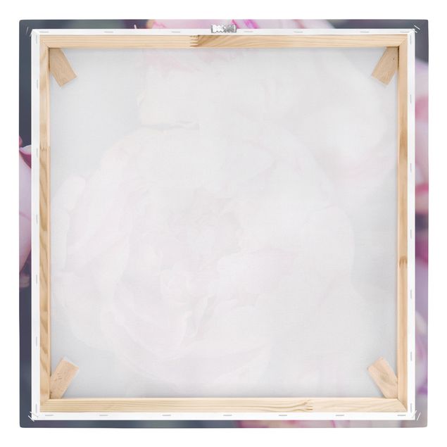 Canvas print - Peony Blossom Shabby