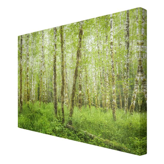 Print on canvas - Hoh Rainforest Olympic National Park