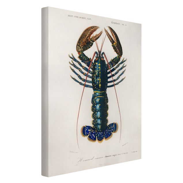 Print on canvas - Vintage Board Blue Lobster