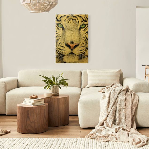Canvas print gold - White Tiger