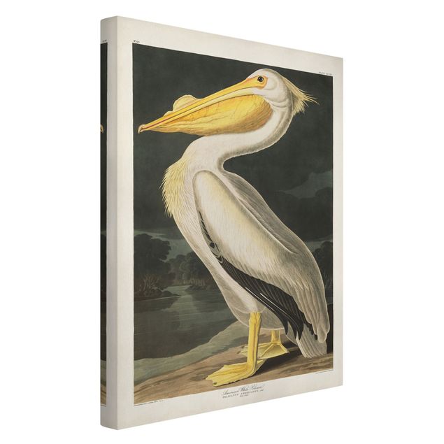 Print on canvas - Vintage Board White Pelican