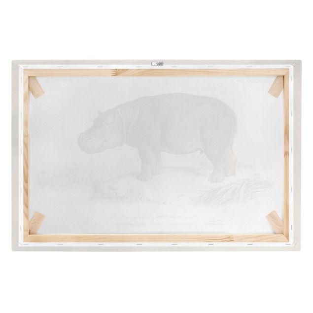 Print on canvas - Vintage Board Hippo