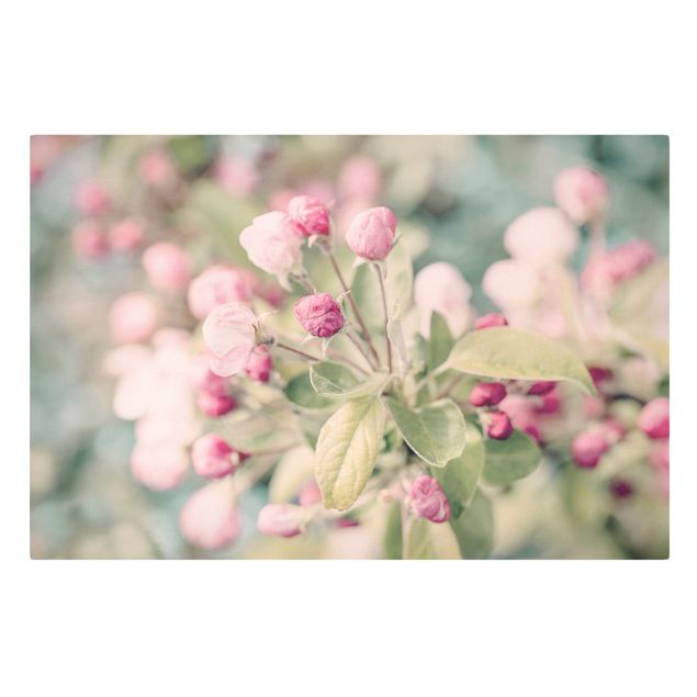 Print on canvas - Apple Blossom Bokeh Light Pink