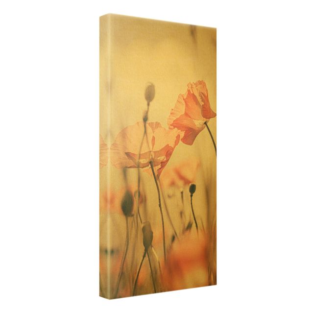 Canvas print gold - Poppy Flowers In Summer Breeze