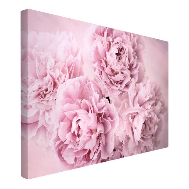 Canvas print - Pink Peonies