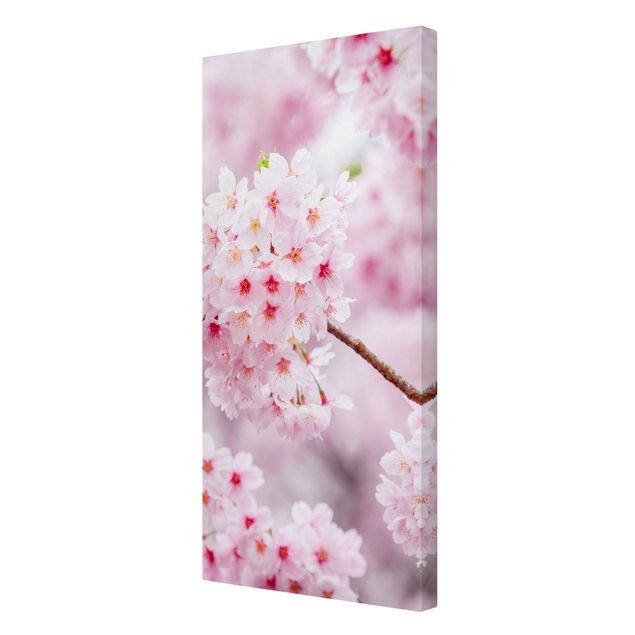 Print on canvas - Japanese Cherry Blossoms