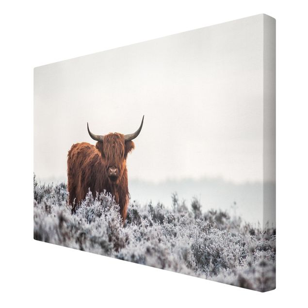 Print on canvas - Bison In The Highlands