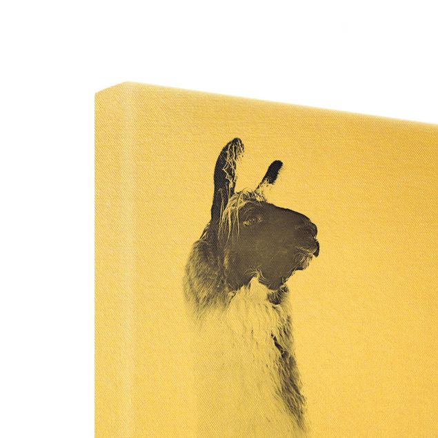 Canvas print gold - Fluffy llama