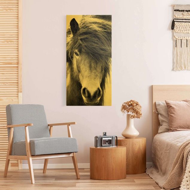 Canvas print gold - Icelandic Horse In Black And White